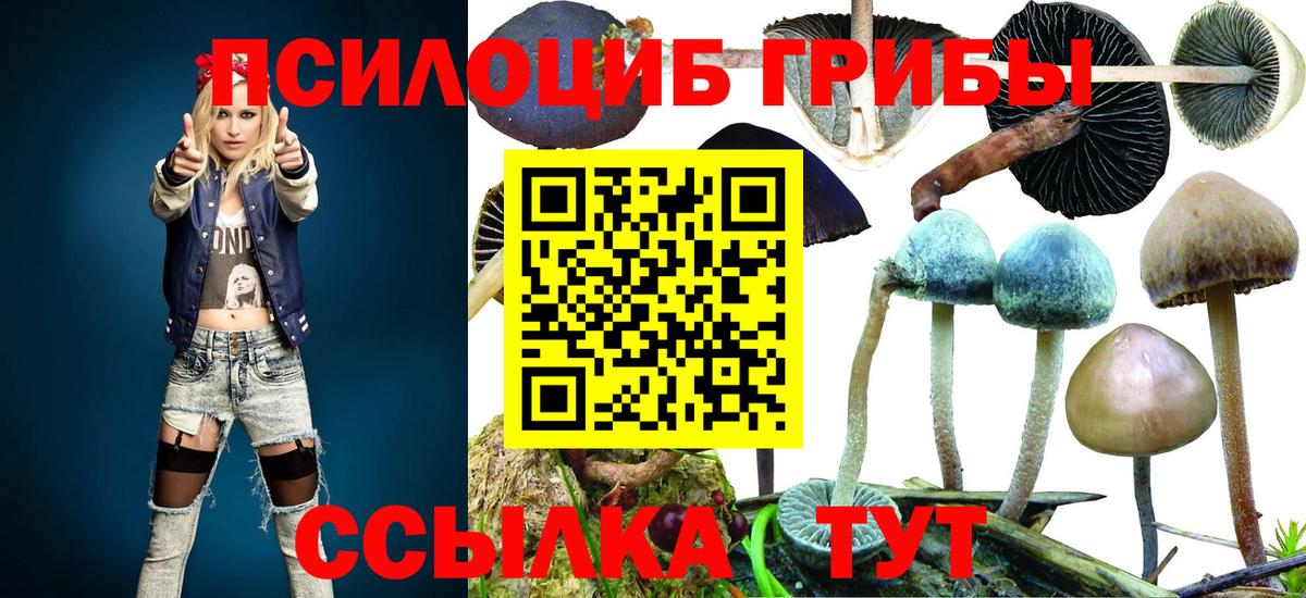 Галлюциногенные грибы мицелий  Псилоцибиновые грибы мухоморы  Вичуга  Вход с VPN 