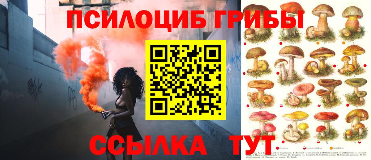 Галлюциногенные грибы MAGIC MUSHROOMS Вичуга